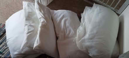 Photo of free 9 pillows (Heysham LA3) #1