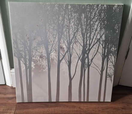 Photo of free Picture of trees (CO2 Colchester, Mersea Road) #1
