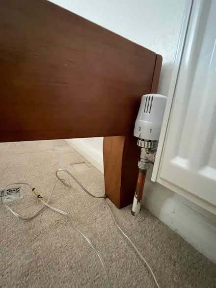 Photo of free Double bed frame (Lexden CO3) #3