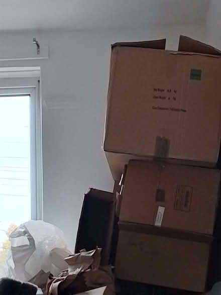 Photo of free Moving boxes and packaging (Hampden Park BN22) #1