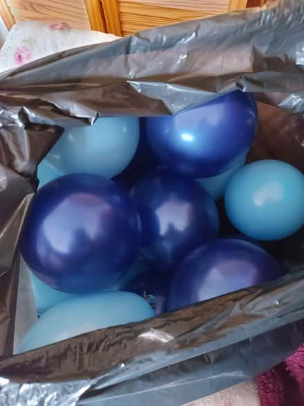 Photo of free 15-20 small balloons, blown up (Wildridings RG12) #2
