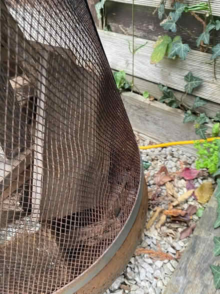 Photo of free Chimnea 1 meter tall (Esher KT10) #3