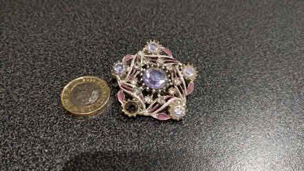 Photo of free Costume brooch (Queen Edith's Ward CB1) #1