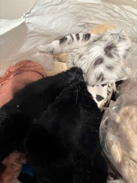 Photo of free A bag of craft items (Lemsford AL8) #3