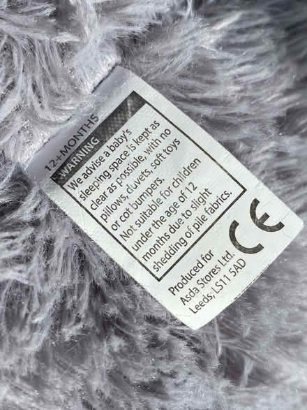 Photo of free Huge Grey Teddy (Weston) #4