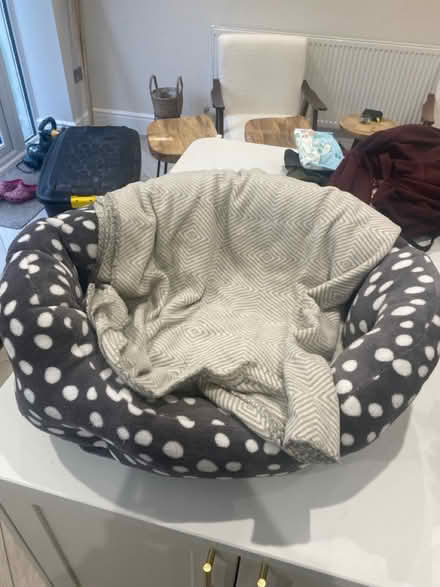 Photo of free Items for dogs (NG16 Eastwood) #3