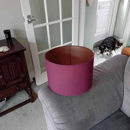 Photo of free Lamp Shade (Kirk Hallam, DE7) #1