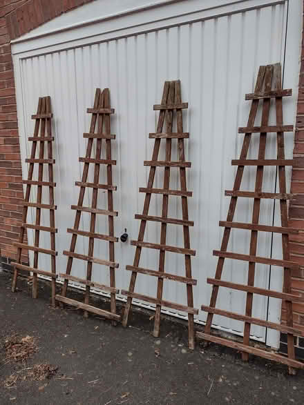 Photo of free Garden trellises (Desford LE9) #1