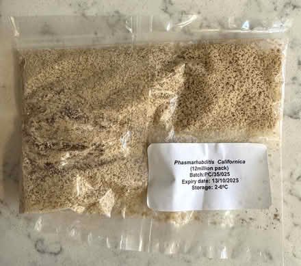 Photo of free Slug Nematodes - to treat 40 sq m (East Marden) #2