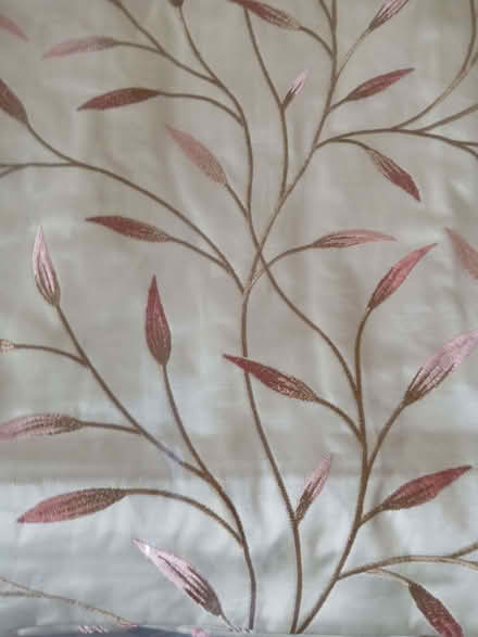 Photo of free Curtains (Stone Cross BN24) #1