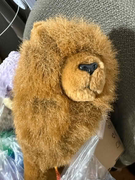 Photo of free Teddies for children (New Southgate, N11) #3