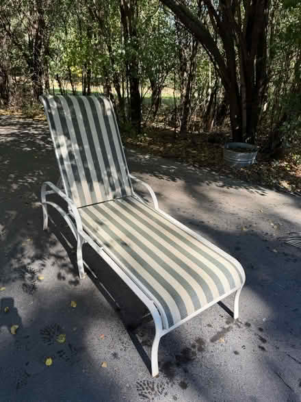 Photo of free Tropitone Chaise (Wattles and Squirrel) #1