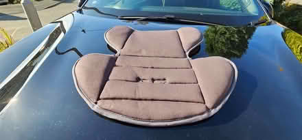 Photo of free Baby car seat padding (Banksfield HX7) #3