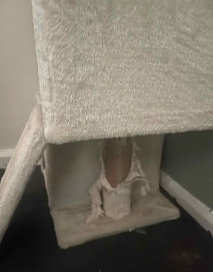 Photo of free Cream Cat Tree (Welton HU15) #3