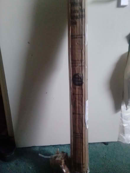 Photo of free white retractable gate (Askew Road W12) #1