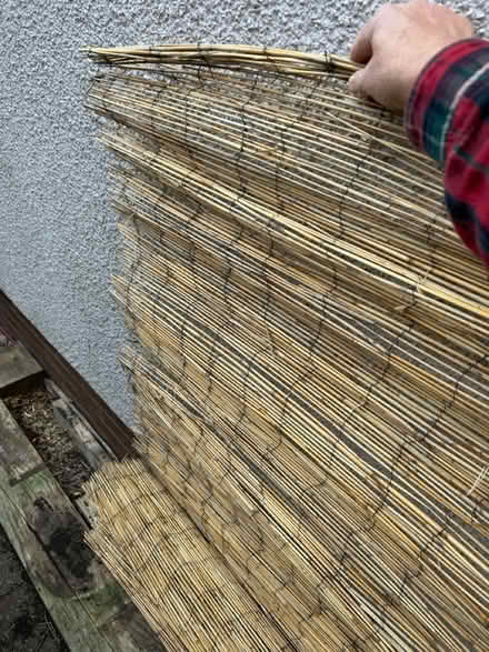 Photo of free Reed screening (Near Cameron Toll EH16) #2