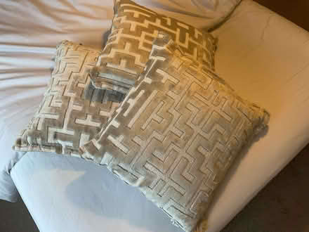 Photo of free cushions (Latchford WA4) #3