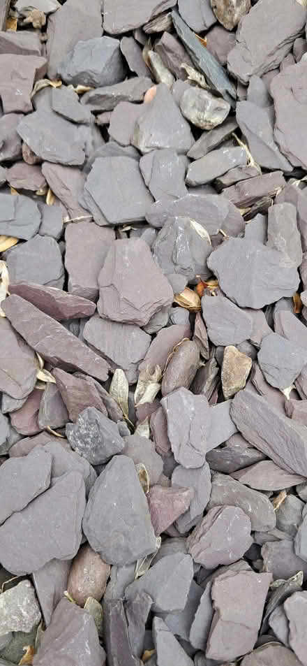 Photo of free Plum slate (Allestree DE22) #2
