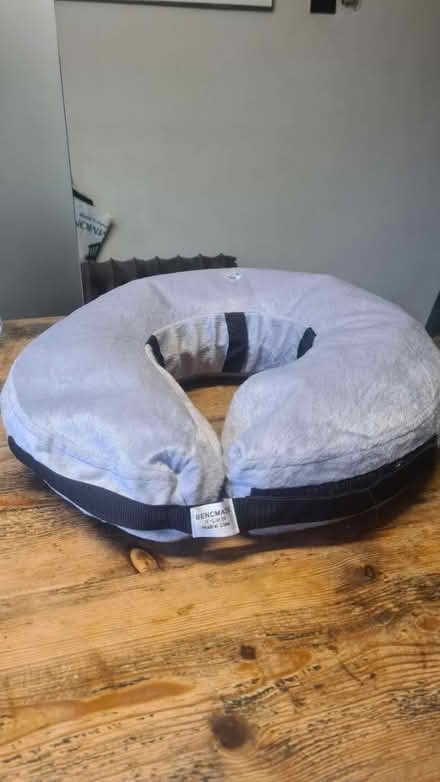 Photo of free Inflatable Post Surgery Dog Collar (London SE17) #1