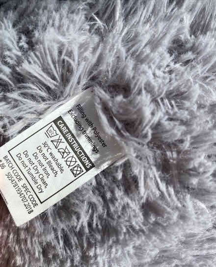 Photo of free Huge Grey Teddy (Weston) #3