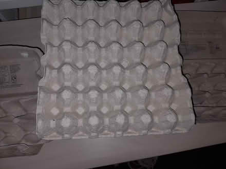 Photo of free Eggs boxes (Hemel Hempstead HP2) #1