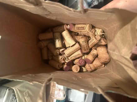 Photo of free Wine corks (Spring Branch 77043) #1