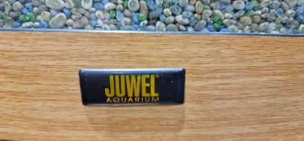 Photo of free fish tank & cabinett (Tooting SW17) #4