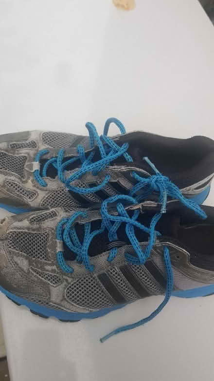 Photo of free Trainers Adidas size UK 7 (Norham Manor OX2) #2