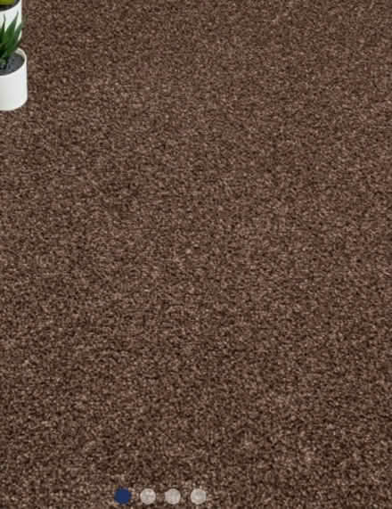 Photo of free Old brown fitted carpet (BN1 3PD) #1
