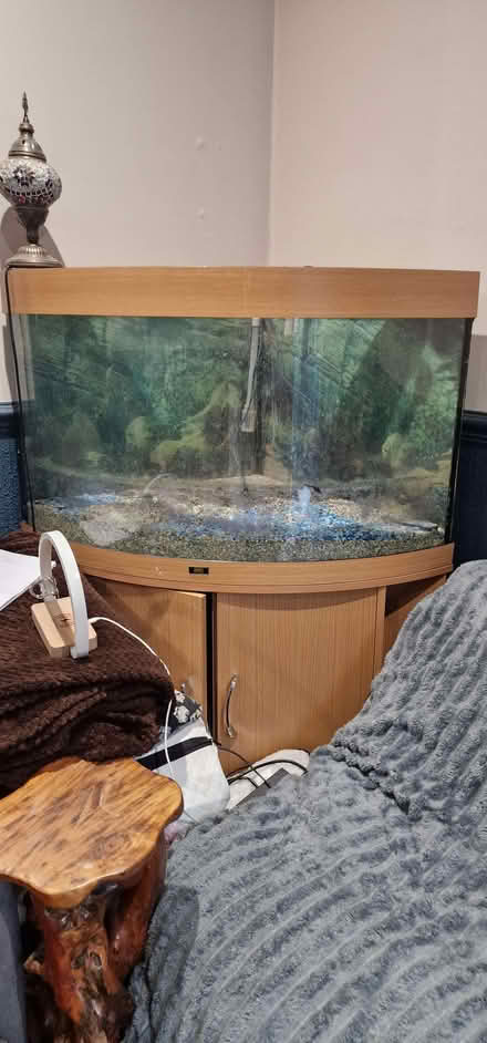 Photo of free fish tank & cabinett (Tooting SW17) #1