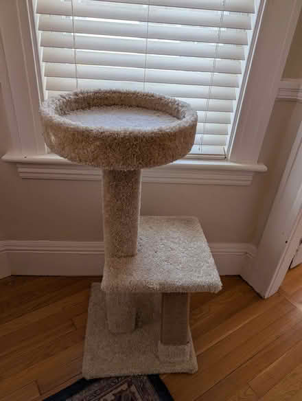 Photo of free Cat tree-used-good condition (East Watertown) #1