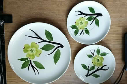 Photo of free collectible dishes from the 1950s (Ann Arbor near Hillside Terr.) #1