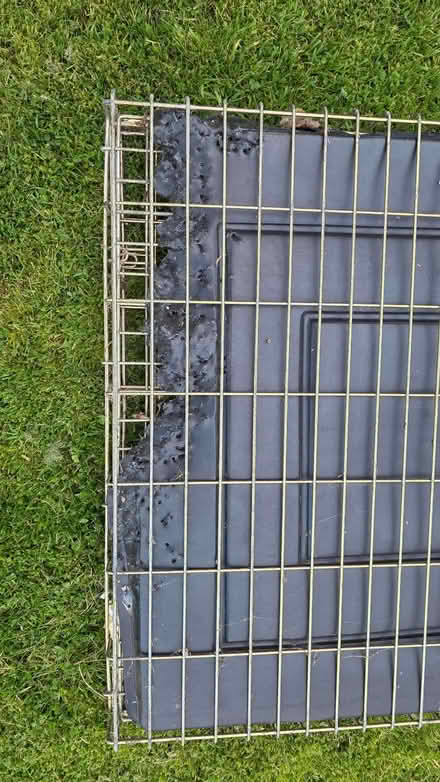 Photo of free Large Dog Crate (Inchbrook GL6) #2