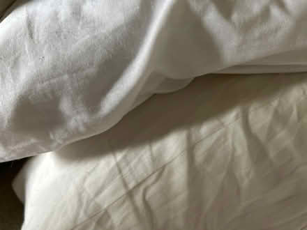 Photo of free old pillows (EH218jx) #1