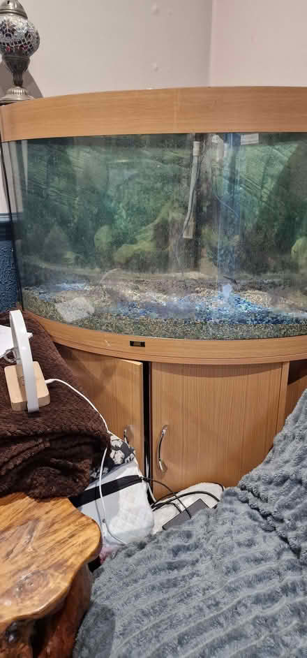 Photo of free fish tank & cabinett (Tooting SW17) #3