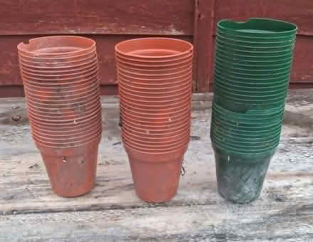 Photo of free Plastic plant pots (Cleveleys FY5) #1