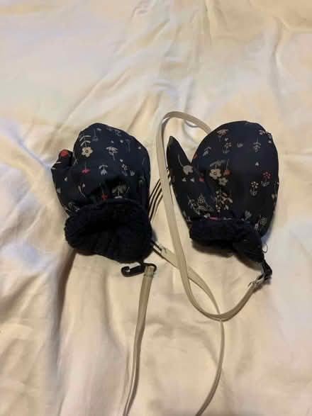 Photo of free Mittens (New Catton NR3) #1