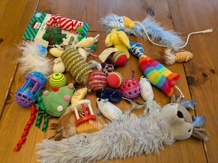 Photo of free Cat toys (Chesham Bois HP6) #1