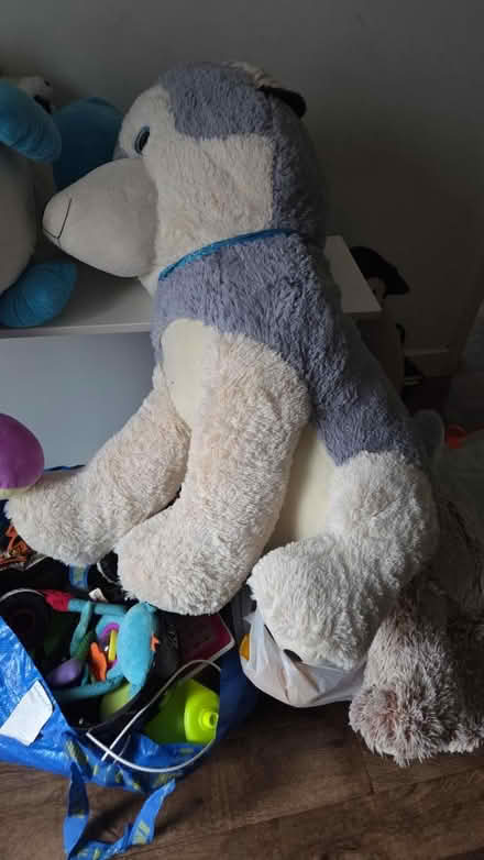 Photo of free toys (Lambeth) #1