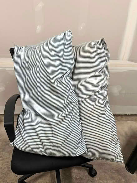 Photo of free Miscellaneous (98012) #3