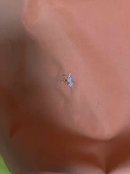 Photo of free Small beanbag (Twickenham Green) #3