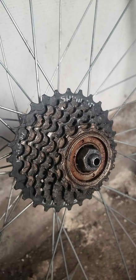 Photo of free 700c Rear Wheel. Spares/Repairs (Theoblads Grove EN8) #2