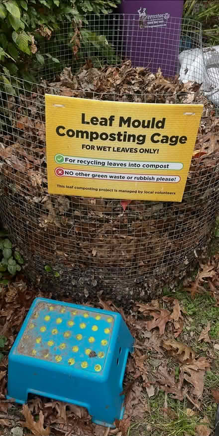 Photo of Wire mesh - leaf bay (Tallaght) #1