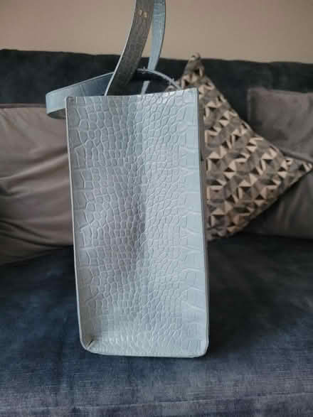 Photo of free Bag (Springfield WN6) #2