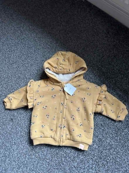 Photo of free Winter (Bushbury WV10) #1