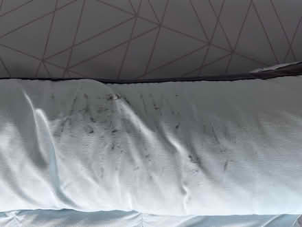 Photo of free Baby nest (Leatherhead KT22) #2