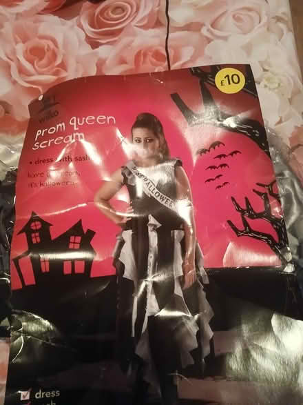 Photo of free Girls 11-13 Halloween outfit (Gillingham ME7) #1