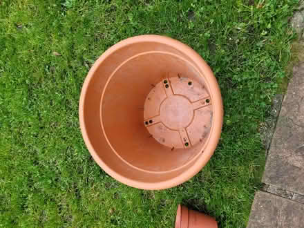 Photo of free Big pot (Feltham TW13) #2