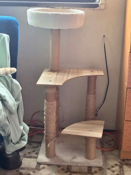 Photo of free Cat Tree (1711 Randall Avenue, Bronx) #1