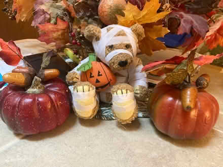 Photo of free Halloween Decorations (Utica-Shelby) #3